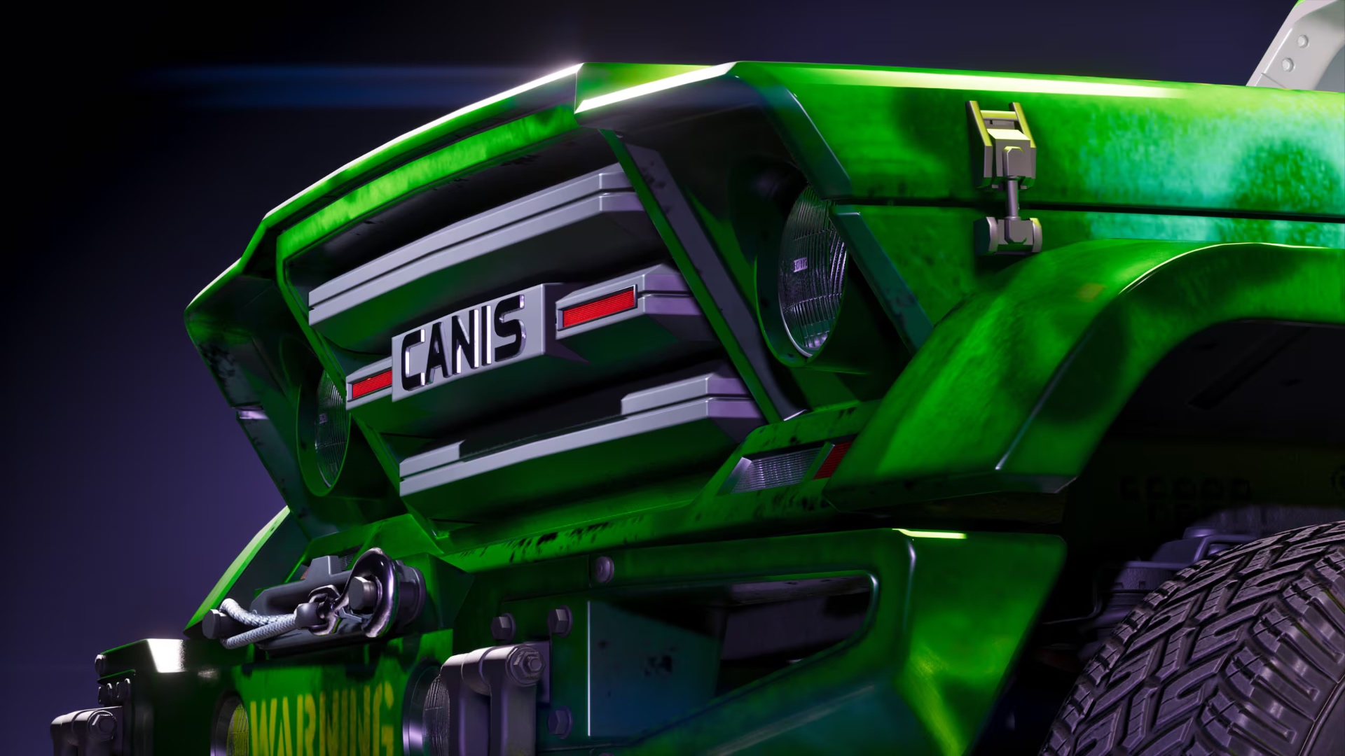Canis grille detail framed